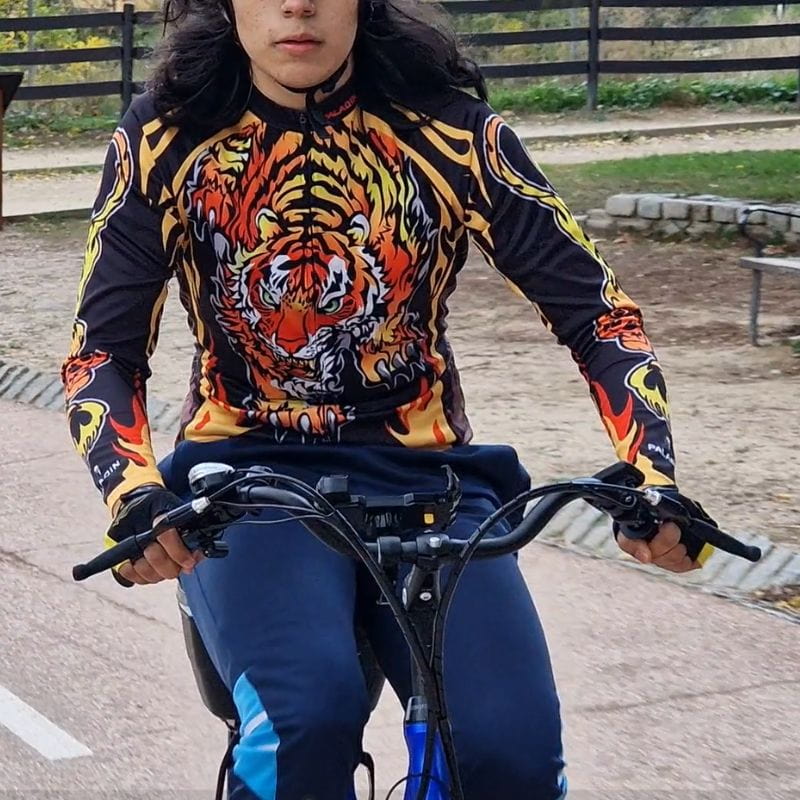 Bicicleta eléctrica de paseo holandesa - Imagen 4