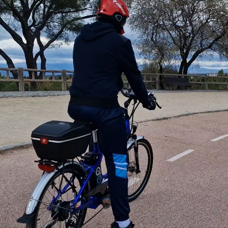 Bicicleta eléctrica de paseo holandesa - Imagen 5